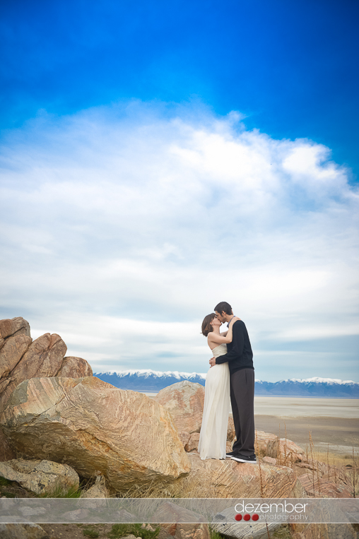 Antelope Island Wedding