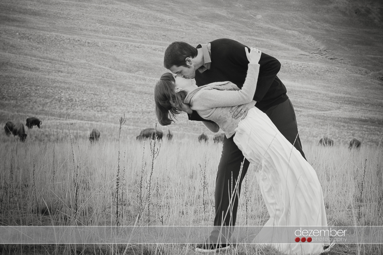 Antelope Island Wedding Photographers