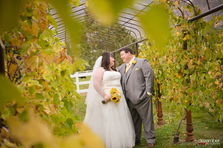 Hadley Historic Farm Wedding