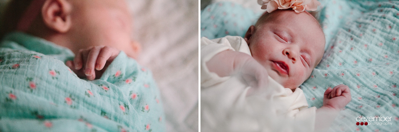 Newborn Photography