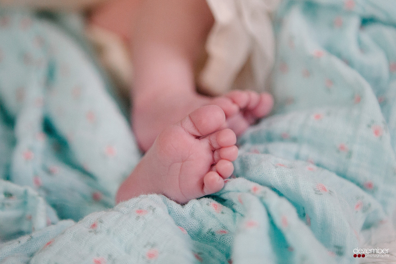 Newborn Photography