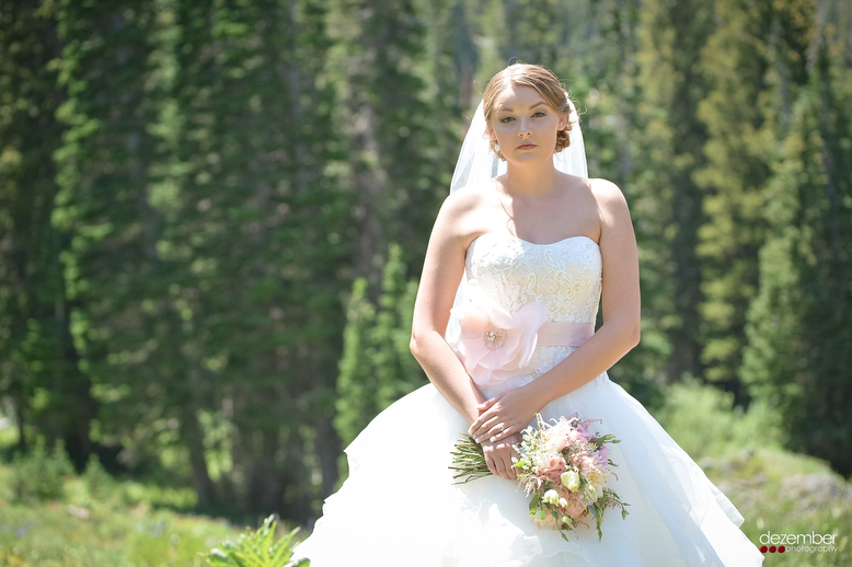 Dezember Photography is a Salt Lake City Utah Wedding Photograph,specializing in Weddings and Special Event Photography in Utah a,