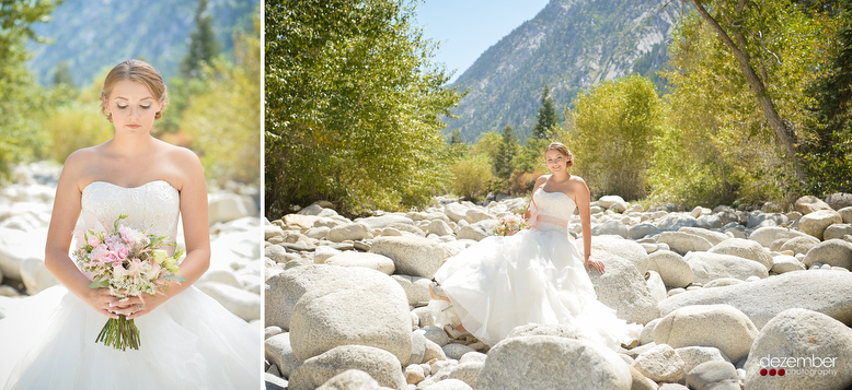 Dezember Photography is a Salt Lake City Utah Wedding Photograph,specializing in Weddings and Special Event Photography in Utah a,