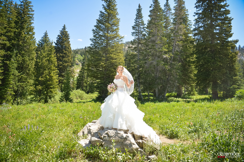 Dezember Photography is a Salt Lake City Utah Wedding Photograph,specializing in Weddings and Special Event Photography in Utah a,