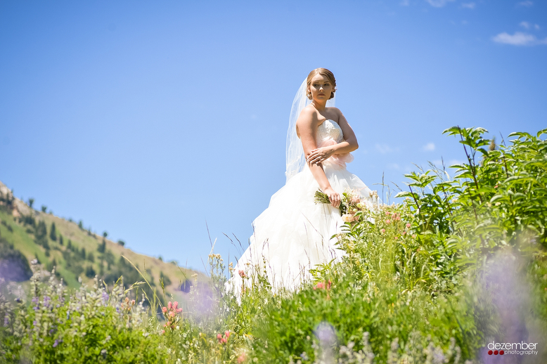 Dezember Photography is a Salt Lake City Utah Wedding Photograph,specializing in Weddings and Special Event Photography in Utah a,