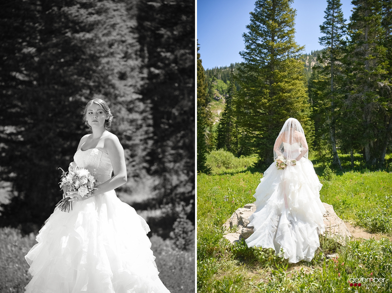 Dezember Photography is a Salt Lake City Utah Wedding Photograph,specializing in Weddings and Special Event Photography in Utah a,