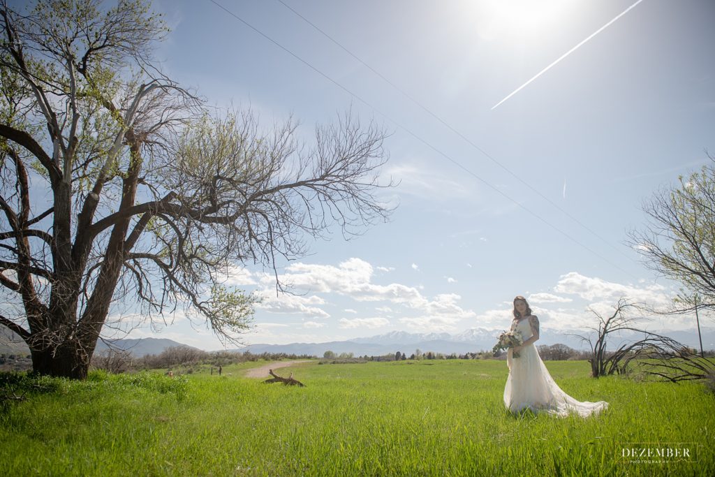 Utah wedding photographer