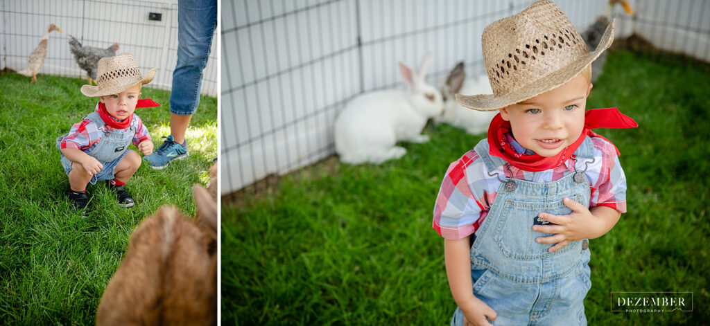 Boy plays with bunnies, chickens and goats