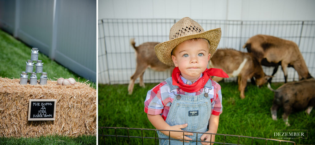 Little boy plays in birthday petting zoo