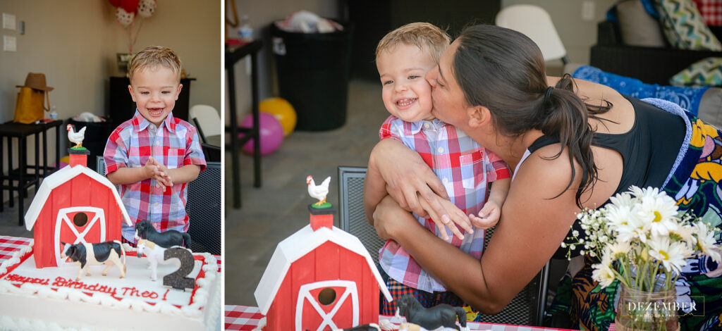 Birthday boy loves his farm themed cake