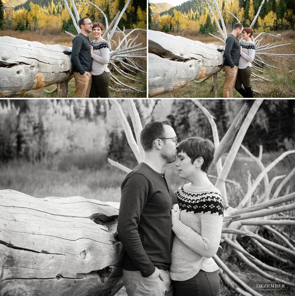 Man kisses fiance on forehead near fallen tree