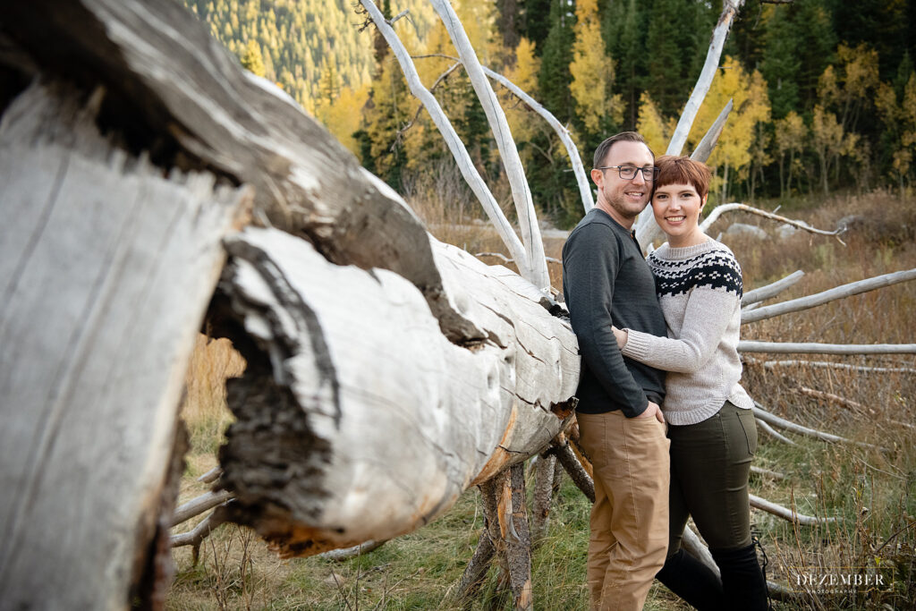 Couple poses near large fallen tree