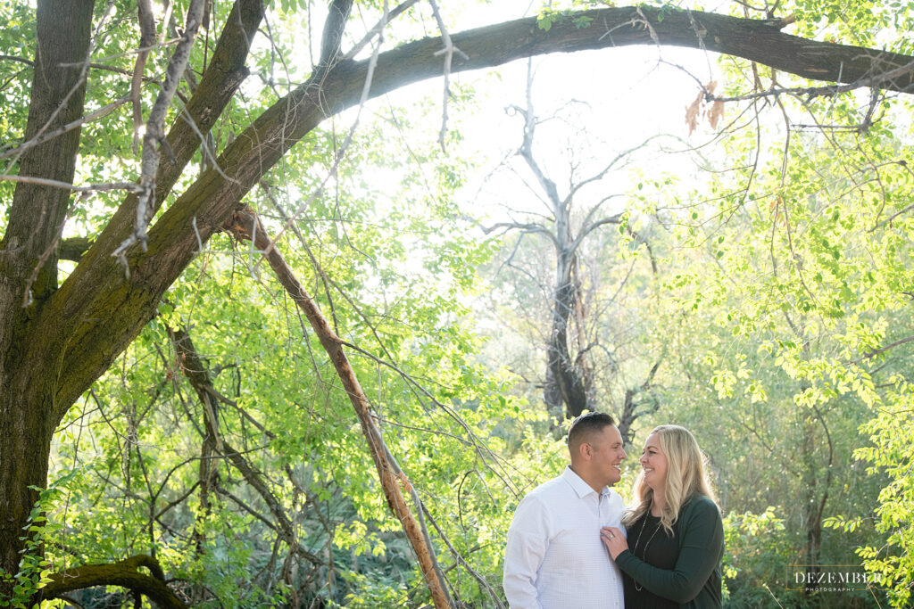 Mom and dad surrounded by green arching tree