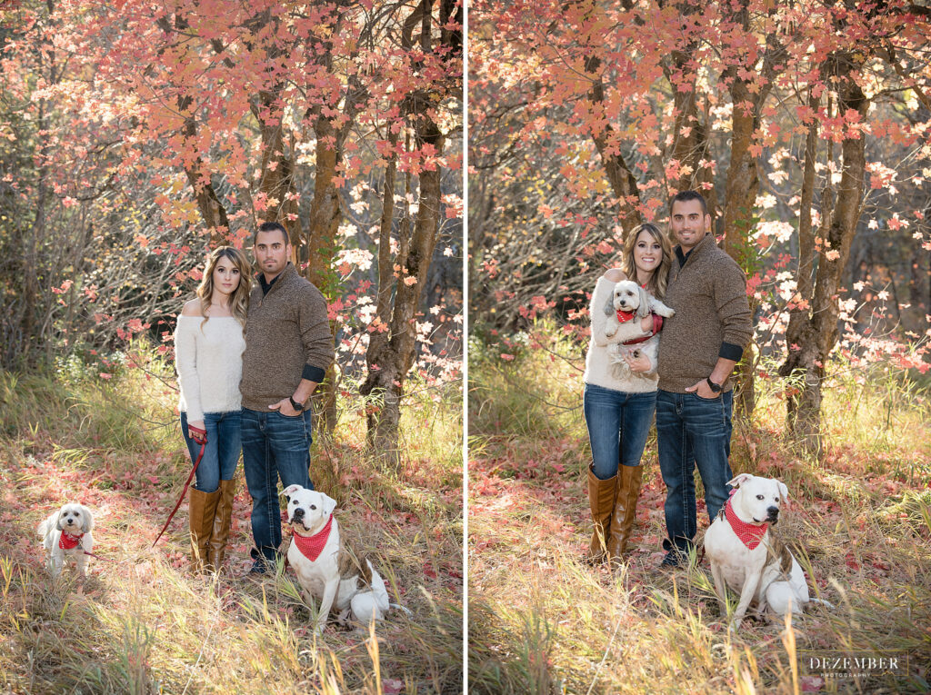 Fall engagements with the couple and their two dogs