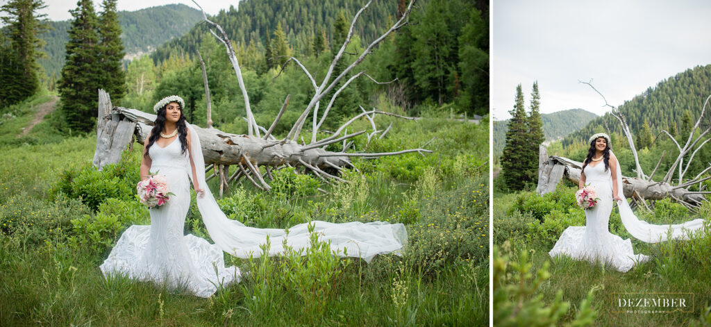 Bride in front of big fallen tree