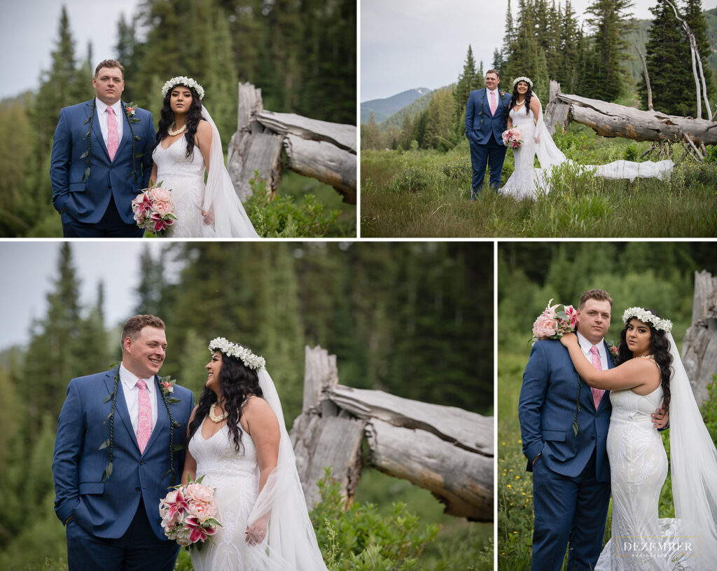 Collage of bride and groom in field